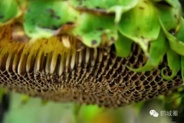 我叫齐齐哈尔请多多关照