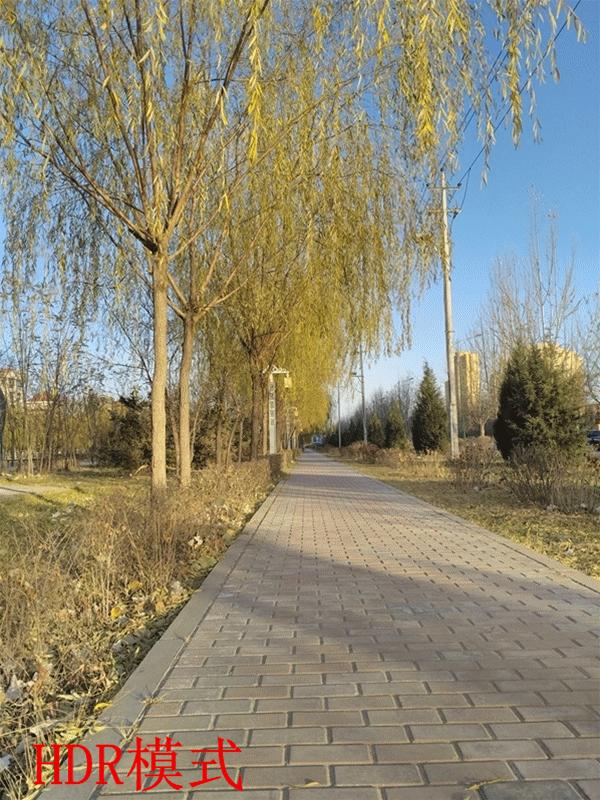 锤子m1是双扬声器吗,锤子m1刚出时多少钱