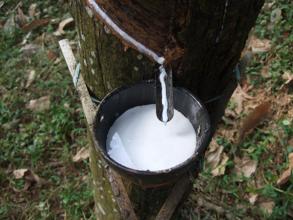 泰囧泰国旅游,泰囧去泰国旅游