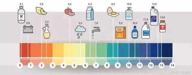 酸碱体质之说科学吗,酸碱体质理论是什么