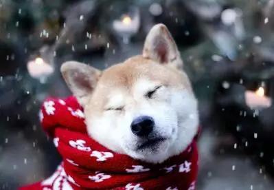 冬天保暖围巾怎么选择,保暖围巾哪款好