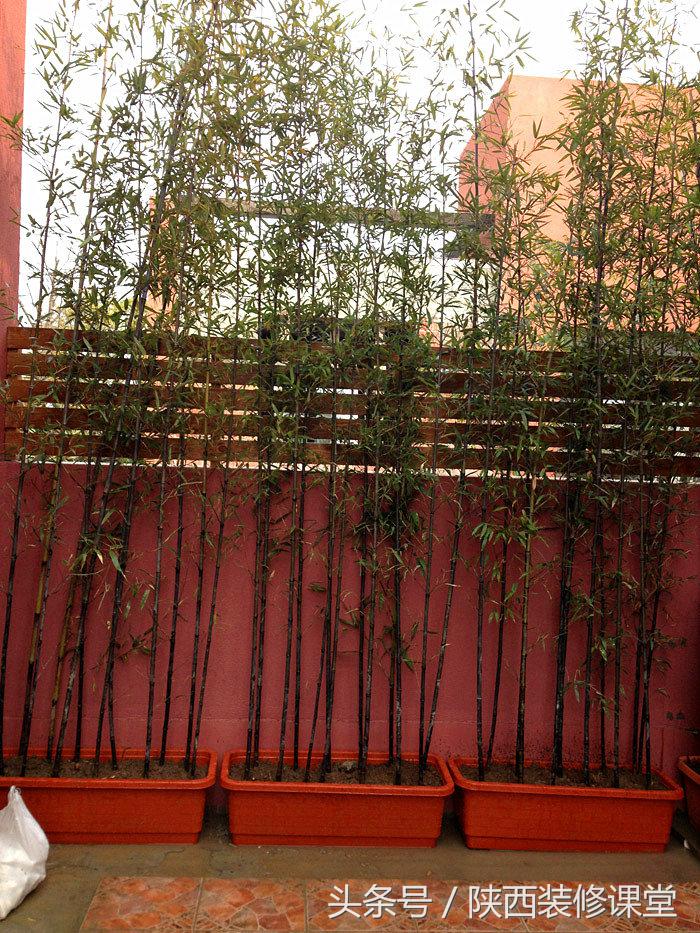 200平庭院花园轻奢,280平花园法式