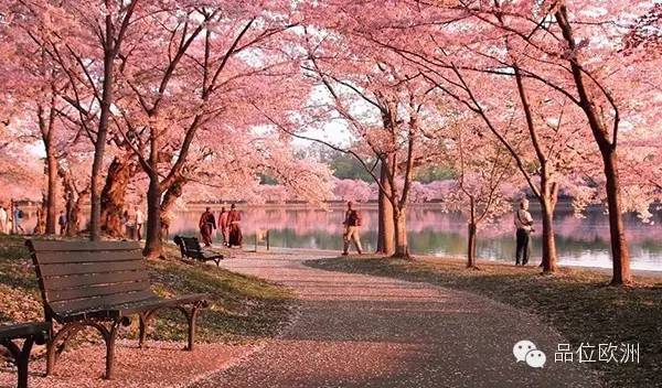 最新最热门的全球15个最美地方，中国竟然只有一个