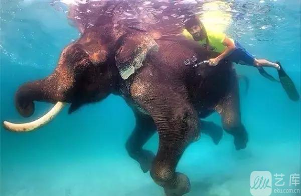 嘘……这里有比《蓝色大海的传说》颜值更高的