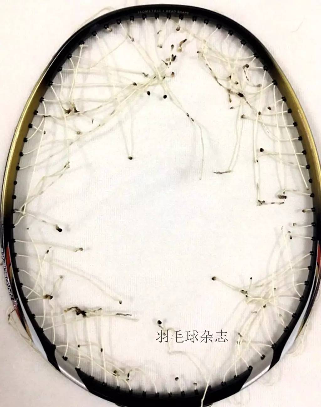 手把手教你剪线,剪线详细教程