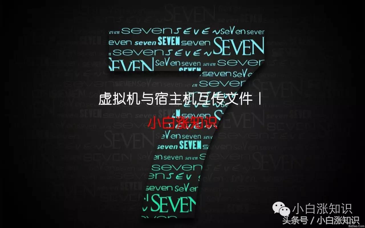 怎么将windows的文件传入虚拟机,怎么从电脑往虚拟机中拖文件