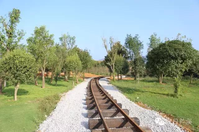 自驾去萍乡武功山,从上栗到萍乡怎样坐客车