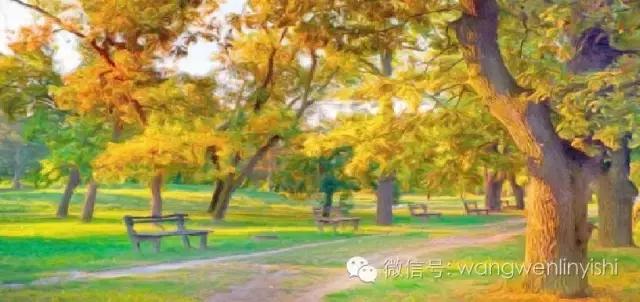 肥胖合并代谢病能治愈吗,肥胖桶状胸