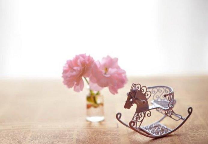 用一朵花开的时间,用一朵花开的时间与你相遇