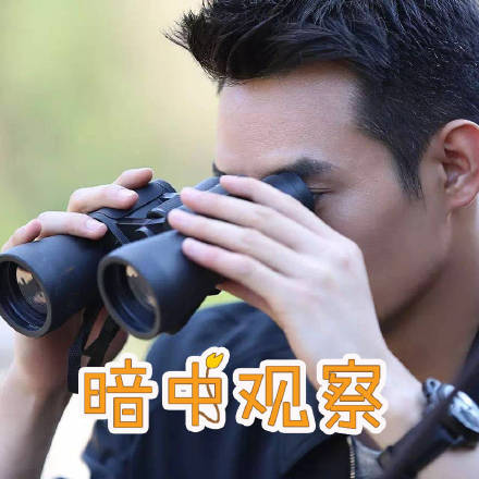 王凯靖王帅气,王凯王鸥表情包