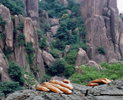 王凯靖王帅气,王凯王鸥表情包