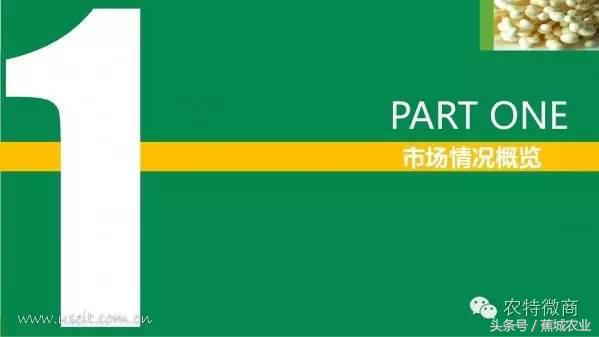 生鲜电商行业市场数据报告,中国生鲜电商发展简报2013年