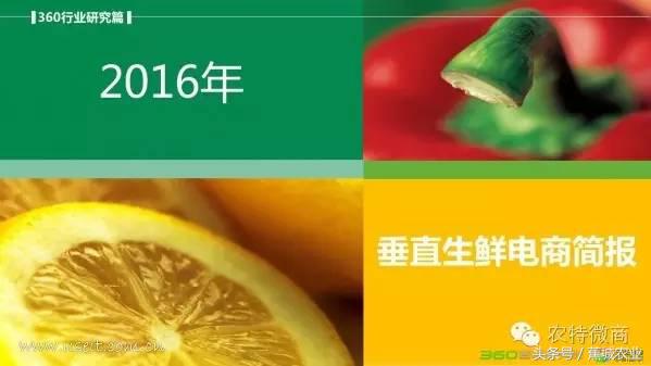 生鲜电商行业市场数据报告,中国生鲜电商发展简报2013年