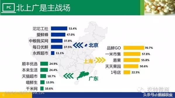 生鲜电商行业市场数据报告,中国生鲜电商发展简报2013年