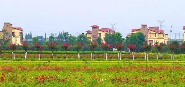 四川房车自驾游营地,四川自驾房车露营