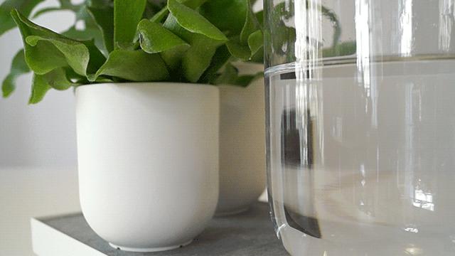 彻底告别植物杀手,告别植物杀手