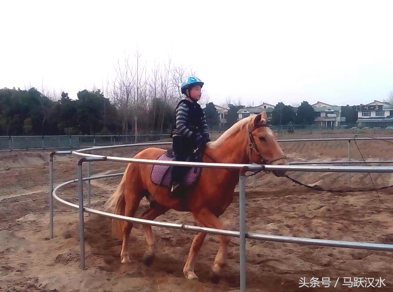 襄阳最小野骑手怎样练成（二）——上马术课