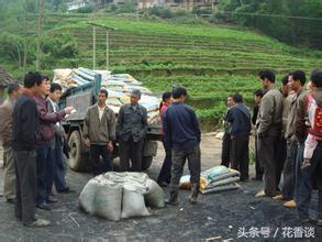 农村冷门小本创业生意,最有前景的10个农村创业点子