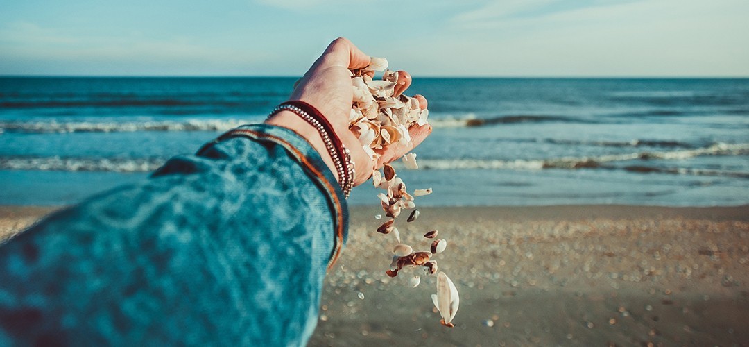 哈佛家训改变一生的智慧,读了书才知道的人生哲理