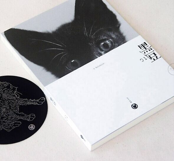 创意设计日记本,好看记事本有设计感