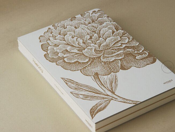 创意设计日记本,好看记事本有设计感