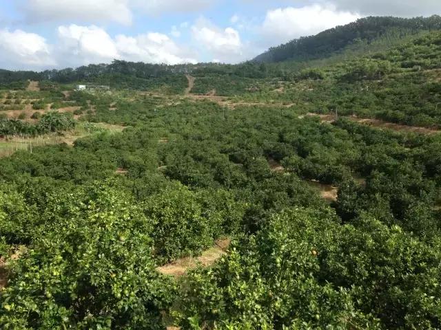 缁挎鏃呰,骞垮窞缁挎鏃呮父