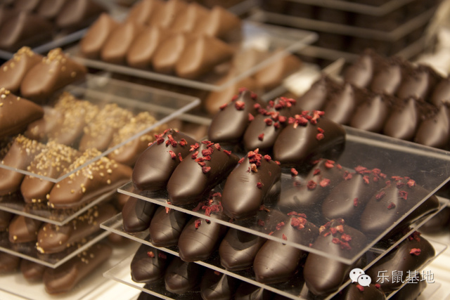 欧洲心脏比利时——丁丁历险之处,尽是甜蜜与酒香