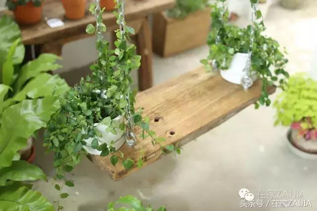 开家花店荒度余生赚得不多,开家花店度过余生