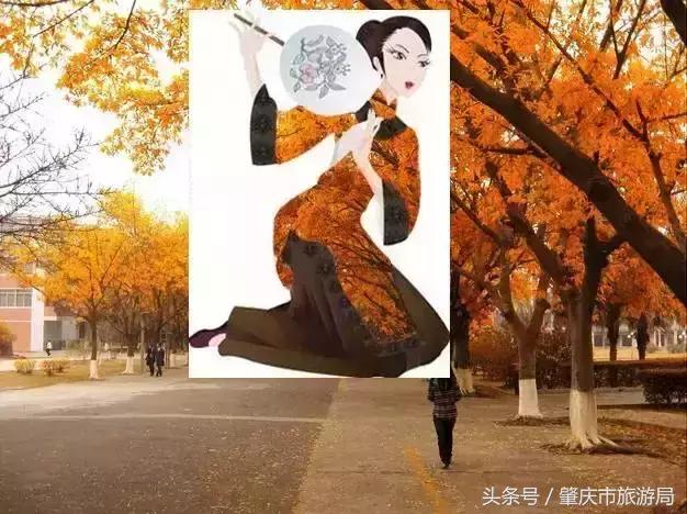 西大下了一场雨，美翻了整个肇庆！