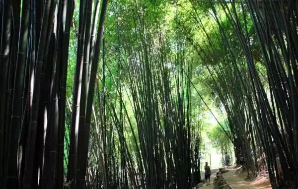 成都户外徒步去哪里,成都周末徒步亲近大自然