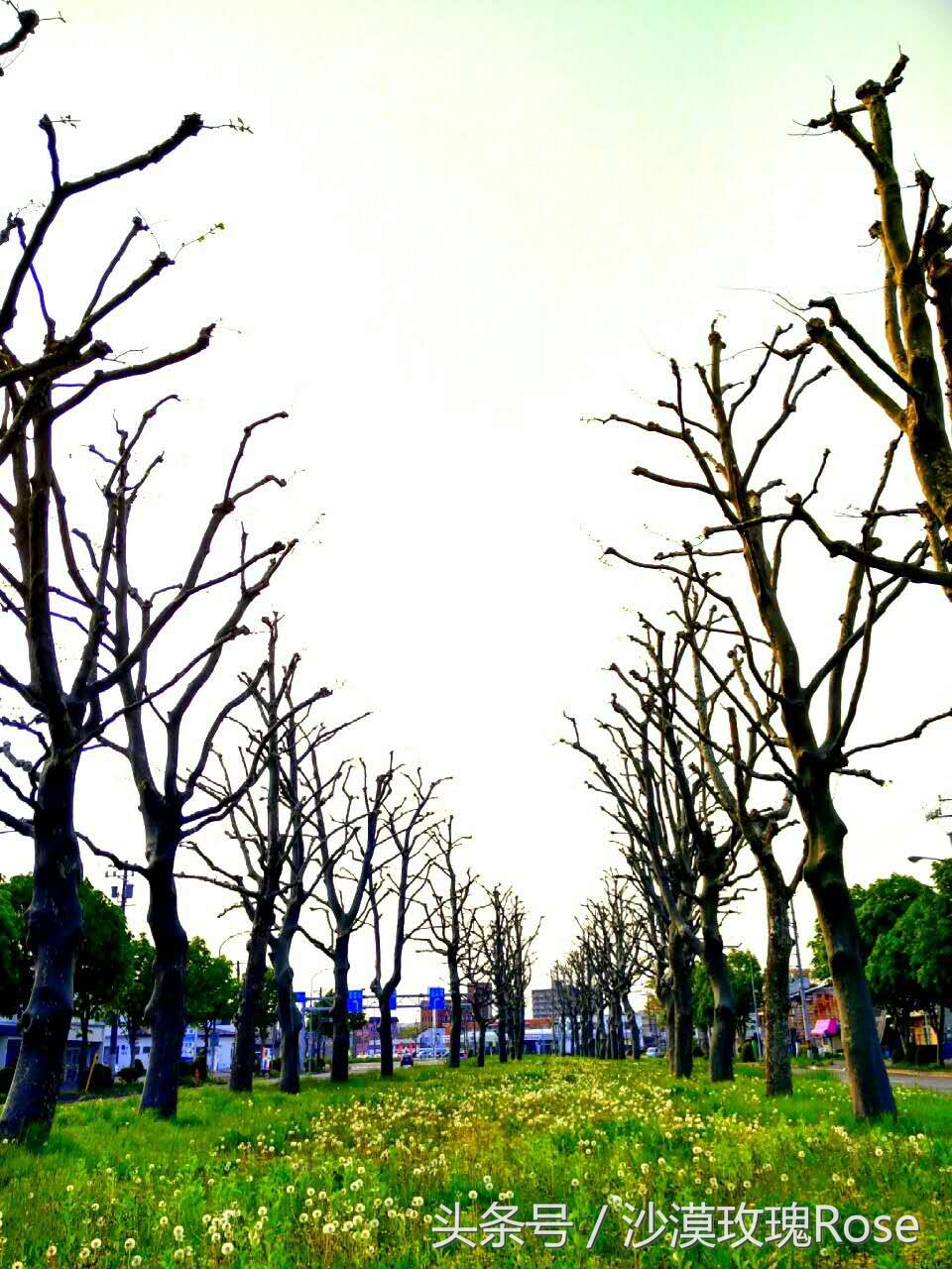 北海道函馆风景,北海道函馆哪里好玩