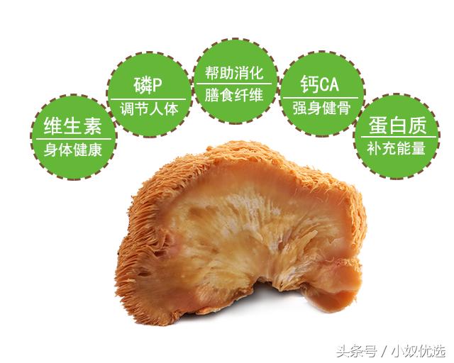 猴头菇推荐店铺,猴头菇的选购