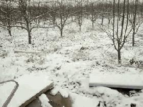 运城雪景有多美,山西省运城市第一场雪