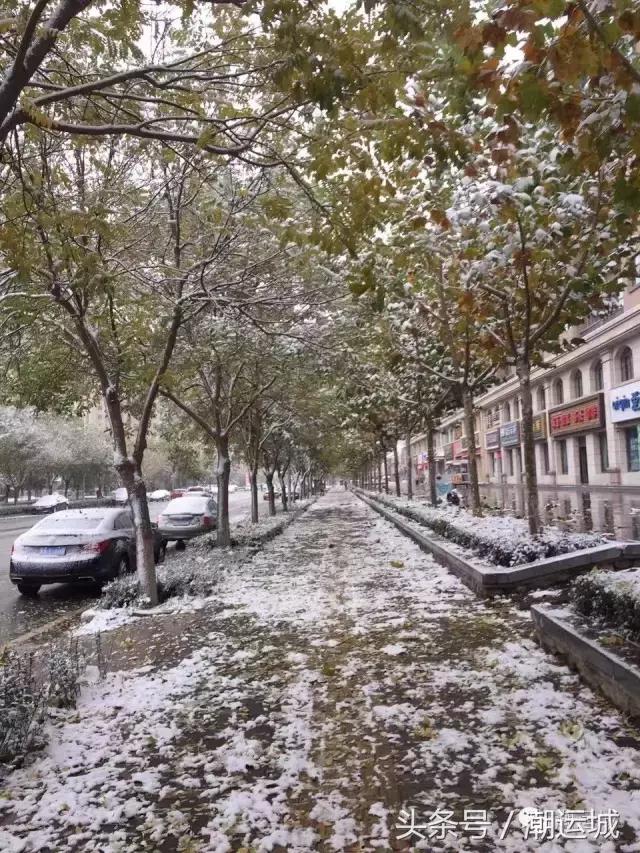 运城雪景有多美,山西省运城市第一场雪
