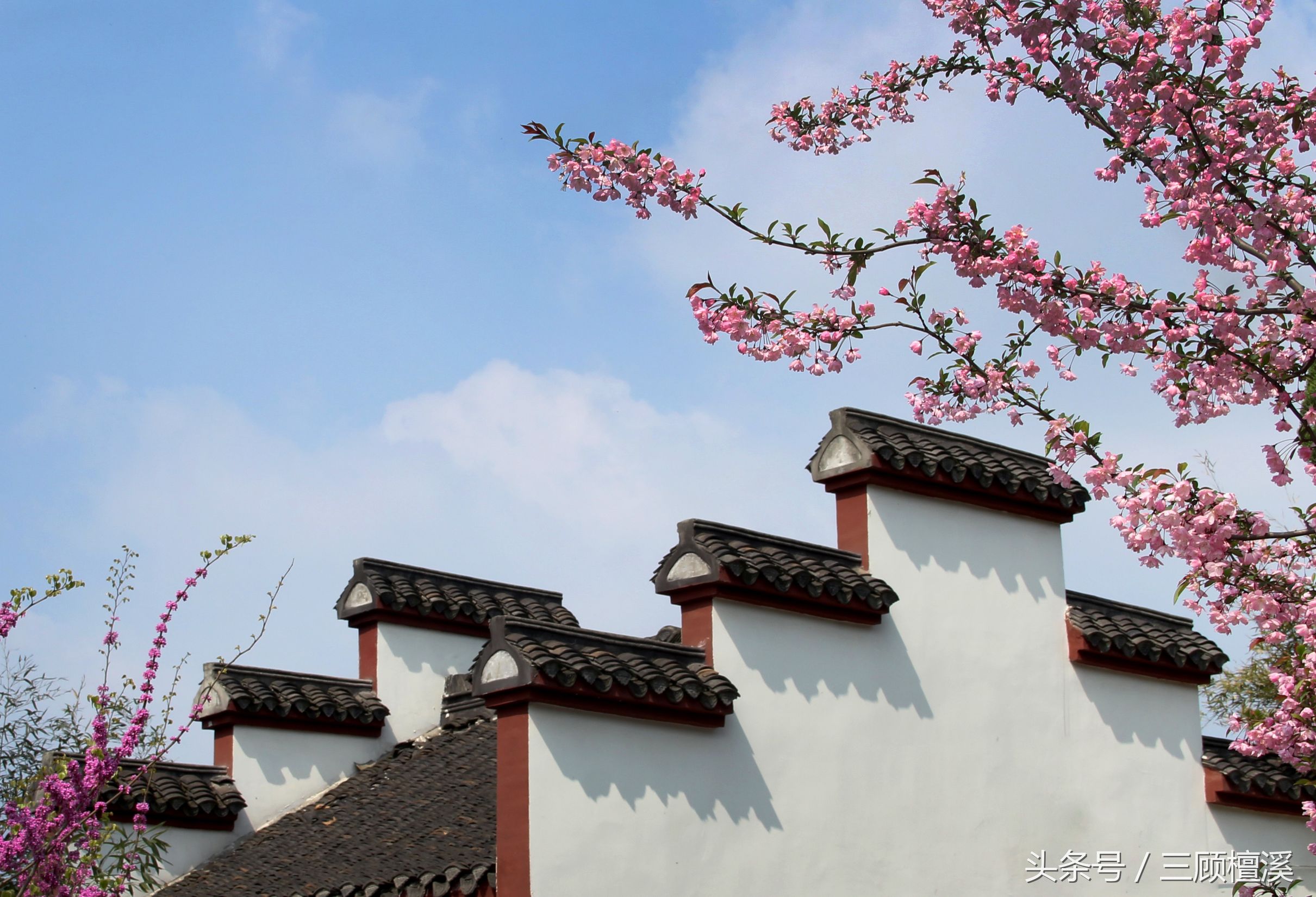 一寸相片拍摄技巧,证件照片的拍摄技巧和注意的问题