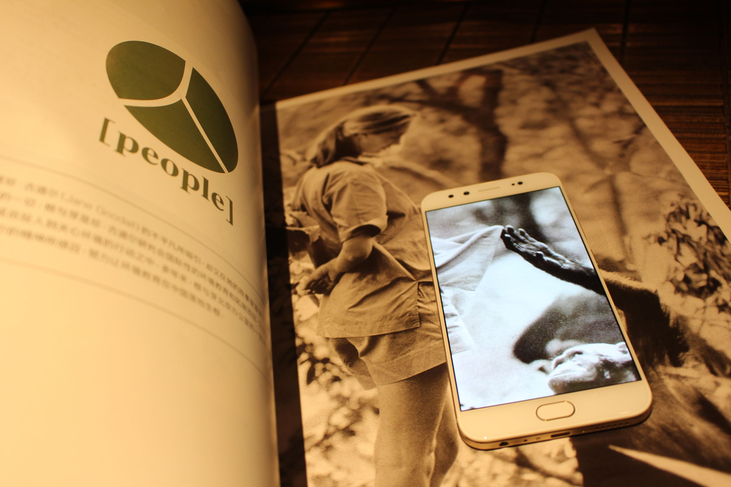 vivox9的拍照效果,vivo柔光双摄手机好吗