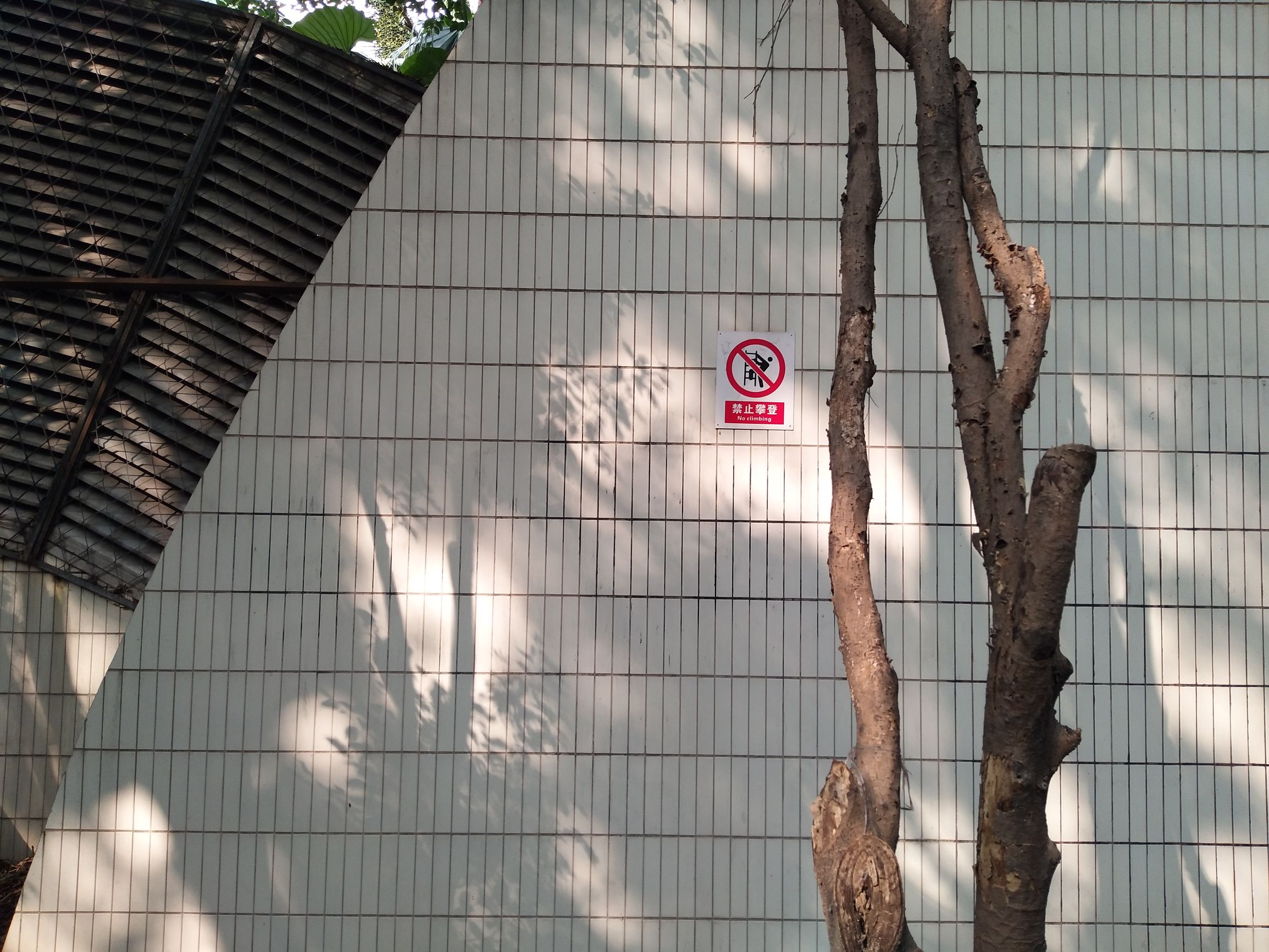 vivox9的拍照效果,vivo柔光双摄手机好吗