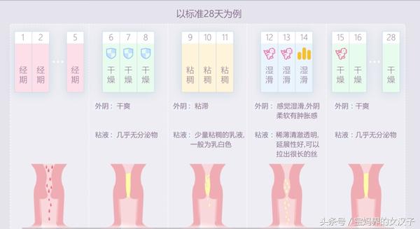 如何做到科学备孕不怀孕,怎么备孕都怀不上