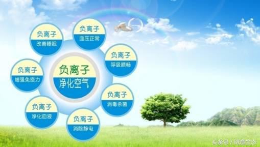 负离子能降血压吗,负氧离子可以治疗心脏病和高血压
