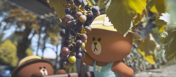 loccitane护肤品怎么样,loccitane的护肤品怎么样