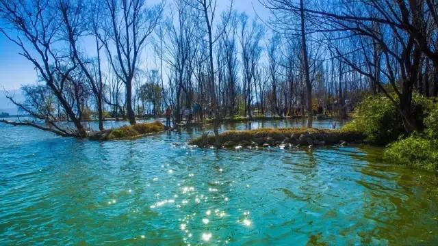 丽江至泸沽湖公路沿途风景,泸沽湖到丽江高速什么时候通车