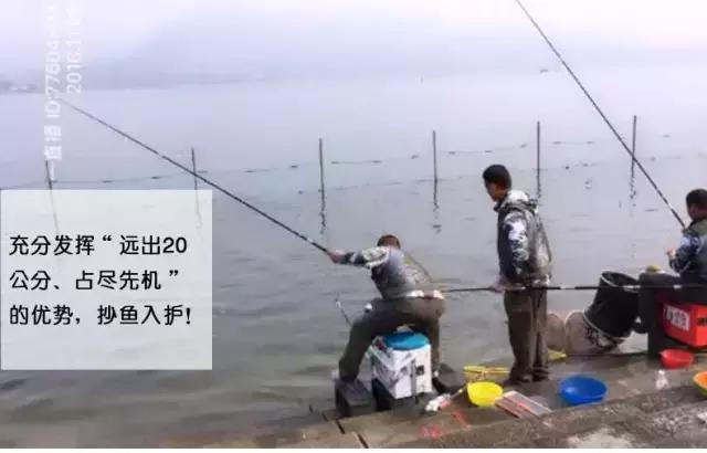 行营鱼竿x12什么价,行营鱼竿x12