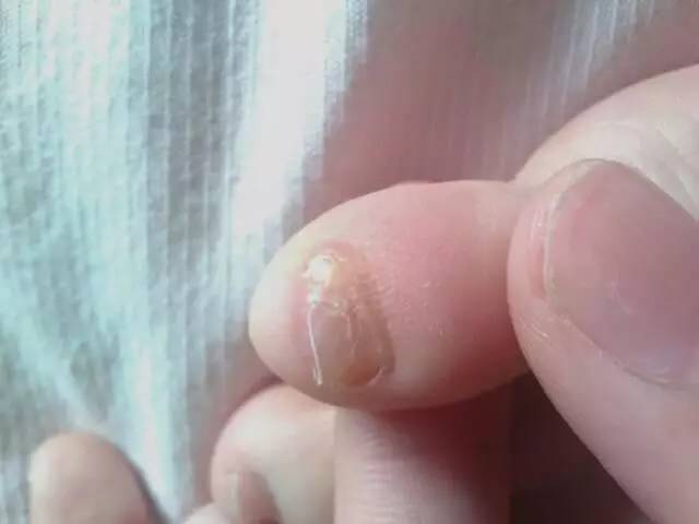 敢问祖先在何处山西洪洞大槐树,若问祖先在何处山西洪洞大槐树