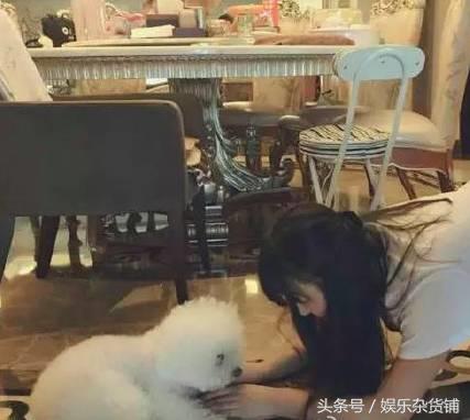 冯小刚赵丽颖,冯小刚杨丽萍豪宅