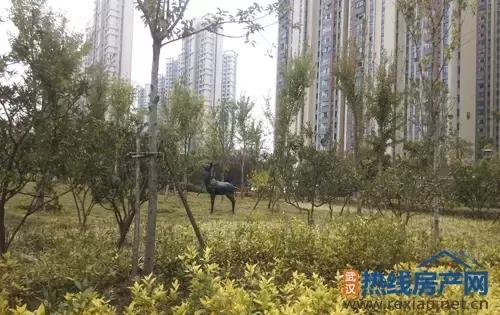 实力爆满却是捧不热的配角！幸福湾如何导演解放大道？|看房情报