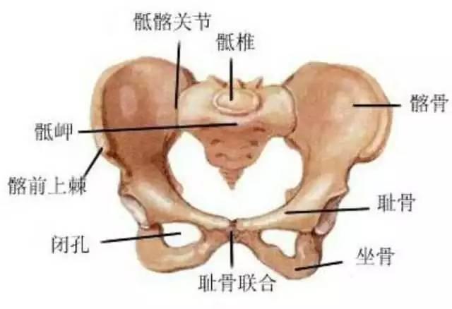 孕妈如何应对雾霾侵害,孕妇怎么预防雾霾的危害