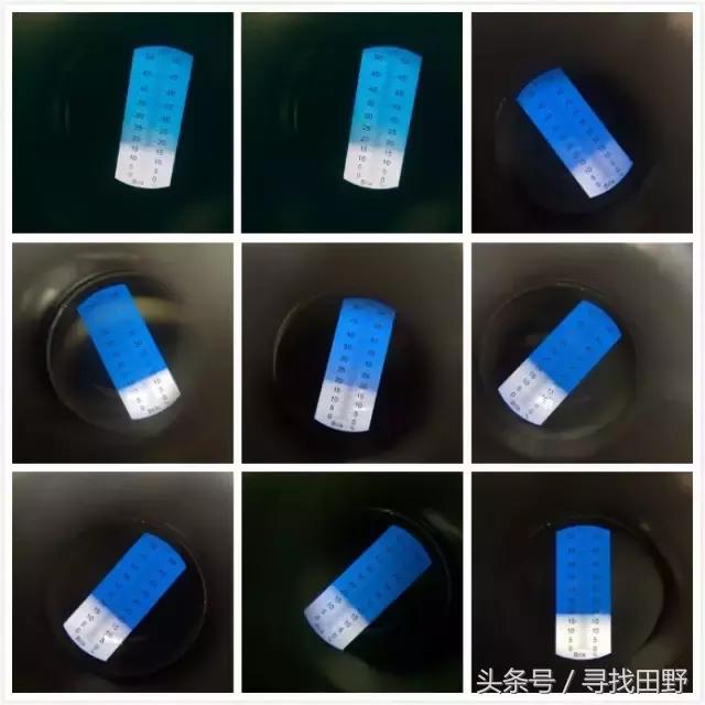 芒果哪个品种最正宗最好吃,各类芒果测评