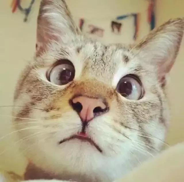 自测宝宝是不是“斗鸡眼”！爹妈别再瞎操心了哈~