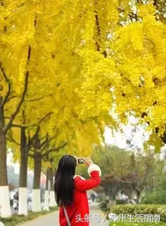 苏州平江路网红打卡地,苏州十大名街