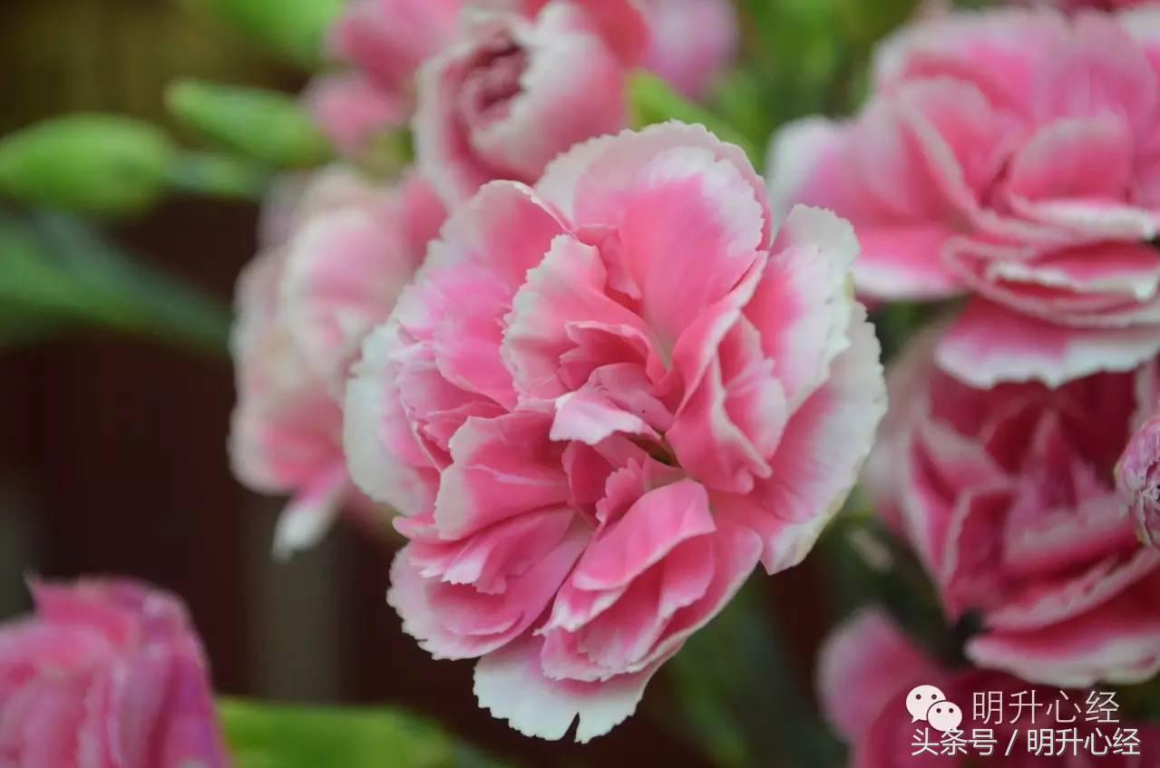 孩子成绩下滑导致焦虑怎么开导,孩子成绩差怎么教育和疏导